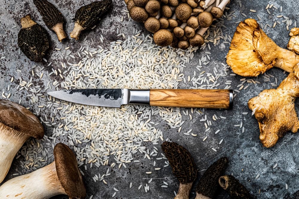 Olive Forged - Paring Knife