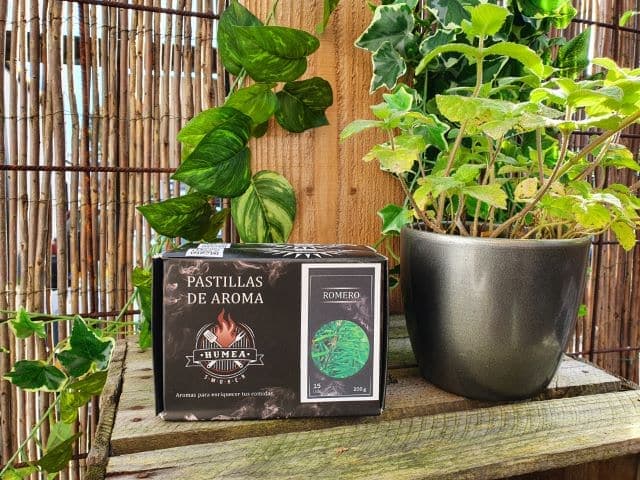 Pastilles de Aroma Rookhout - Rozemarijn - Best Charcoal