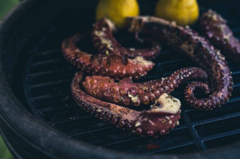 bbq-octopus-pulpo.1
